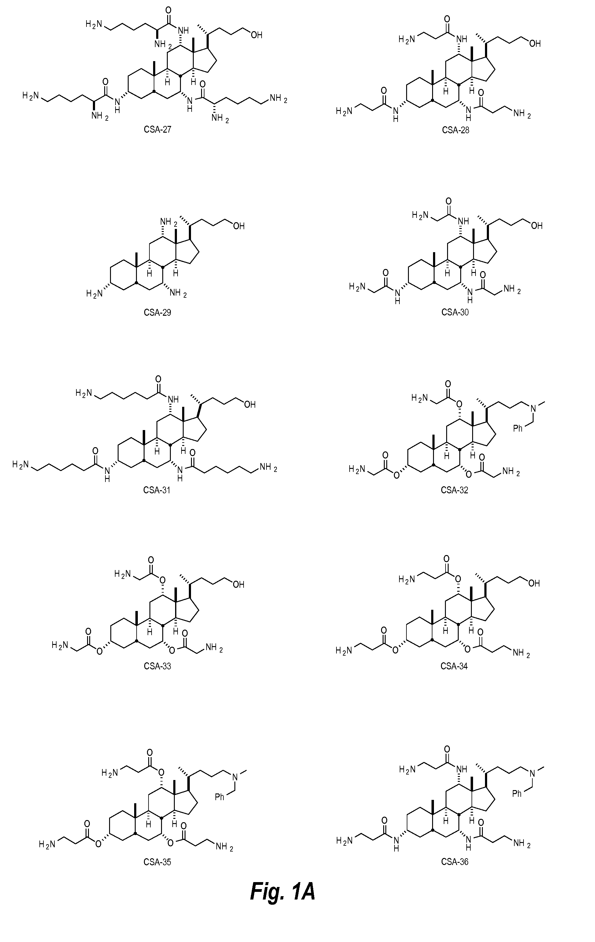 Anti-microbial wash compositions including ceragenin compounds and methods of use for treating non-meat food products