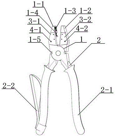 A vise with replaceable blades