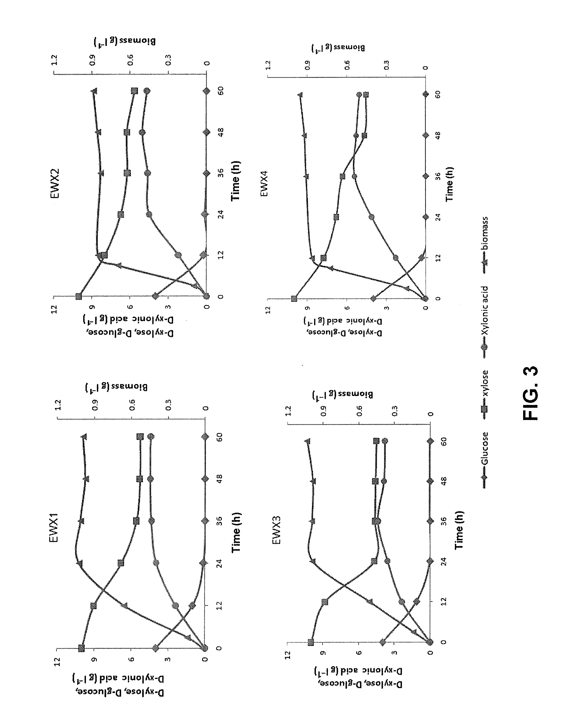 Recombinant Escherichia coli producing D-xylonic acid from D-xylose and method for producing D-xylonic acid using the same