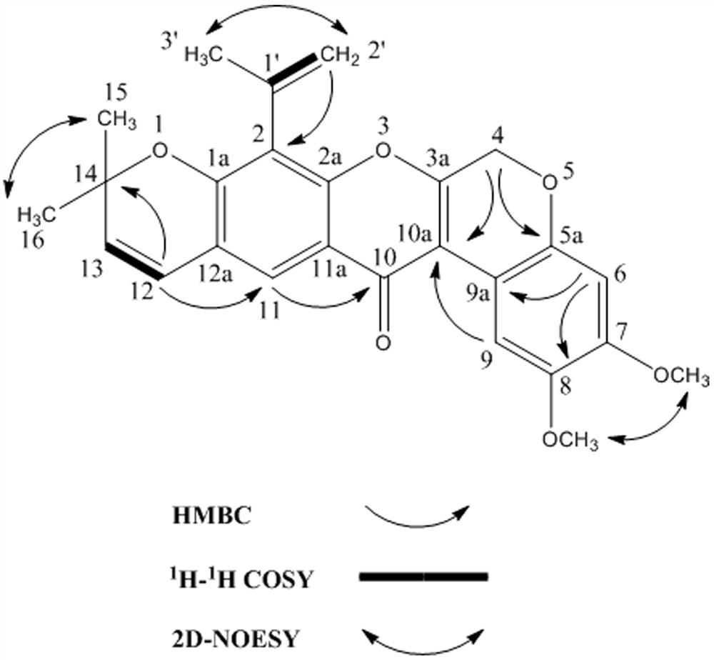 A new rotenone-type flavonoid compound and its preparation method and application