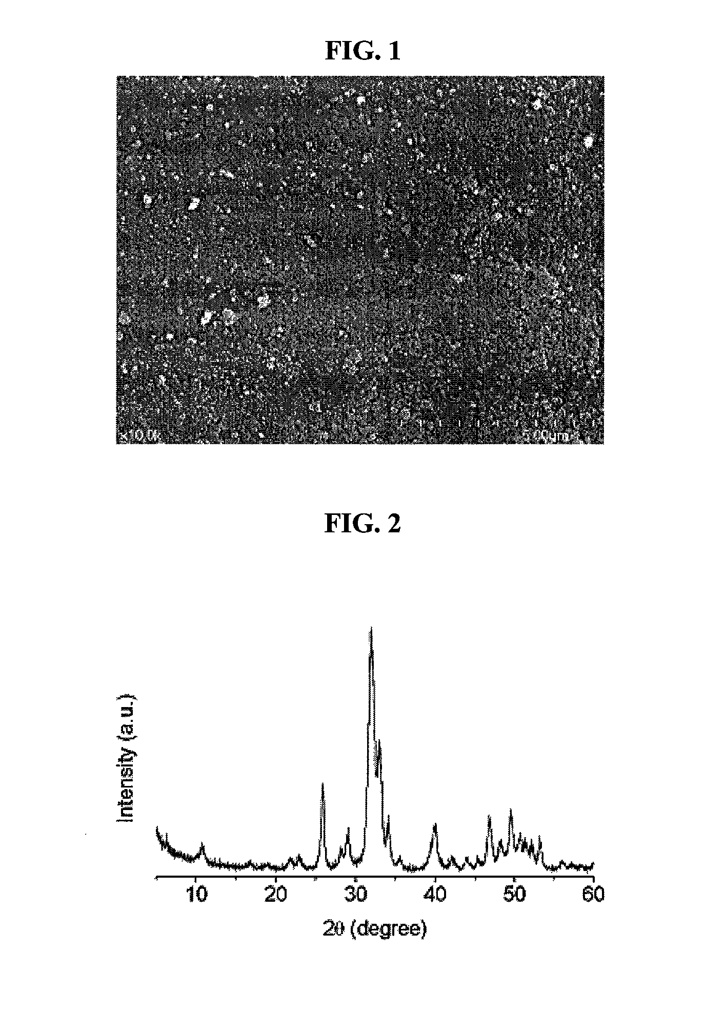 Method for preparing a prion-free bond grafting substitute
