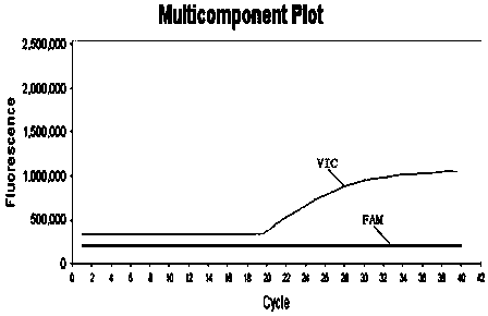 A PCR primer, probe and fluorescent quantitative PCR detection method for detecting polydactyly gli3 gene mutation