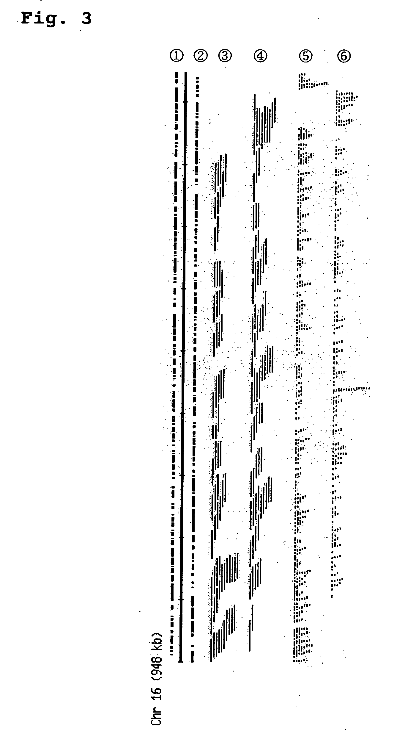 Screening method for genes of brewing yeast