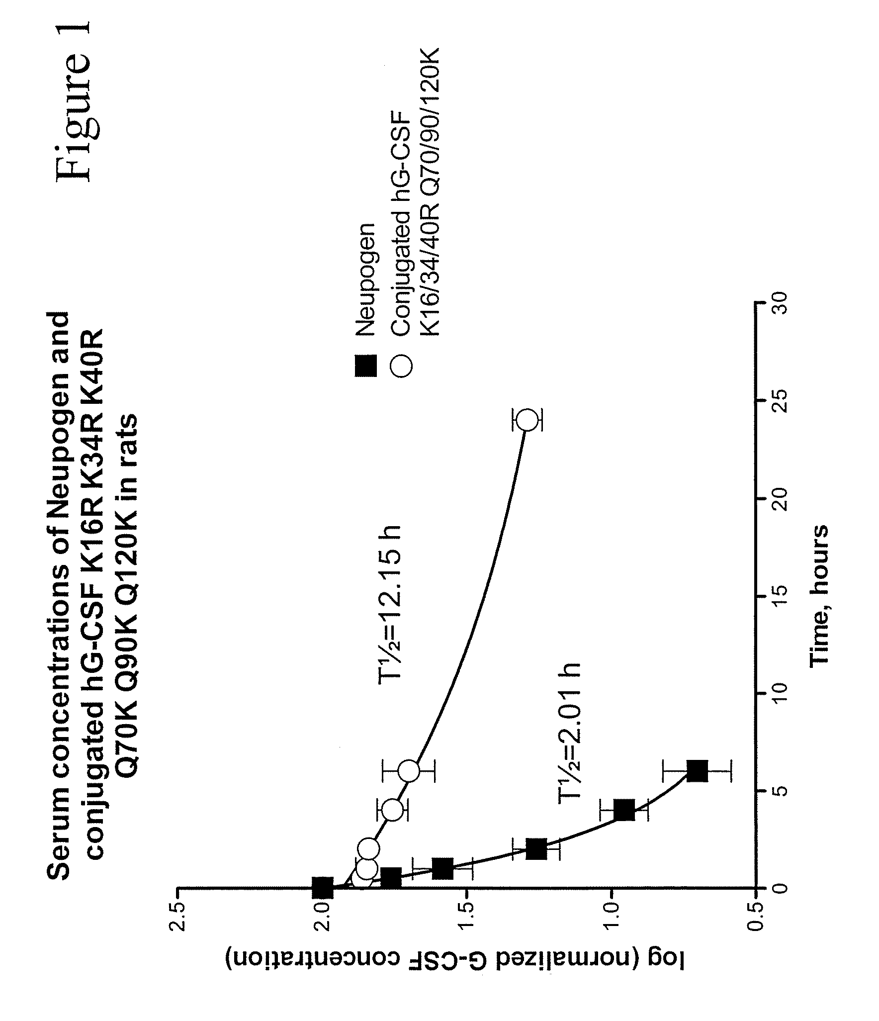 G-CSF Conjugates