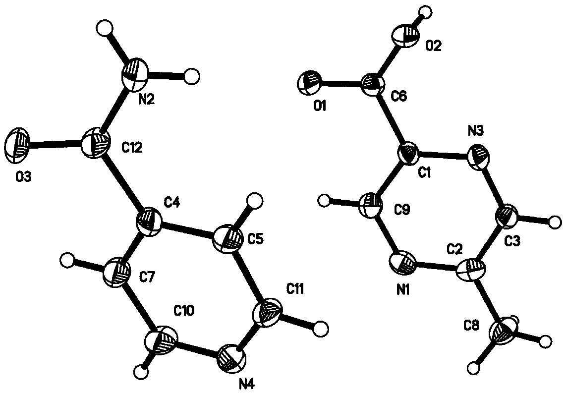 Isonicotinamide methylpyrazine derivative eutectic I