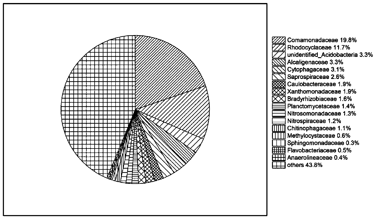 Biological treatment method for simultaneously removing carbon and nitrogen from sewage by controlling dissolved oxygen