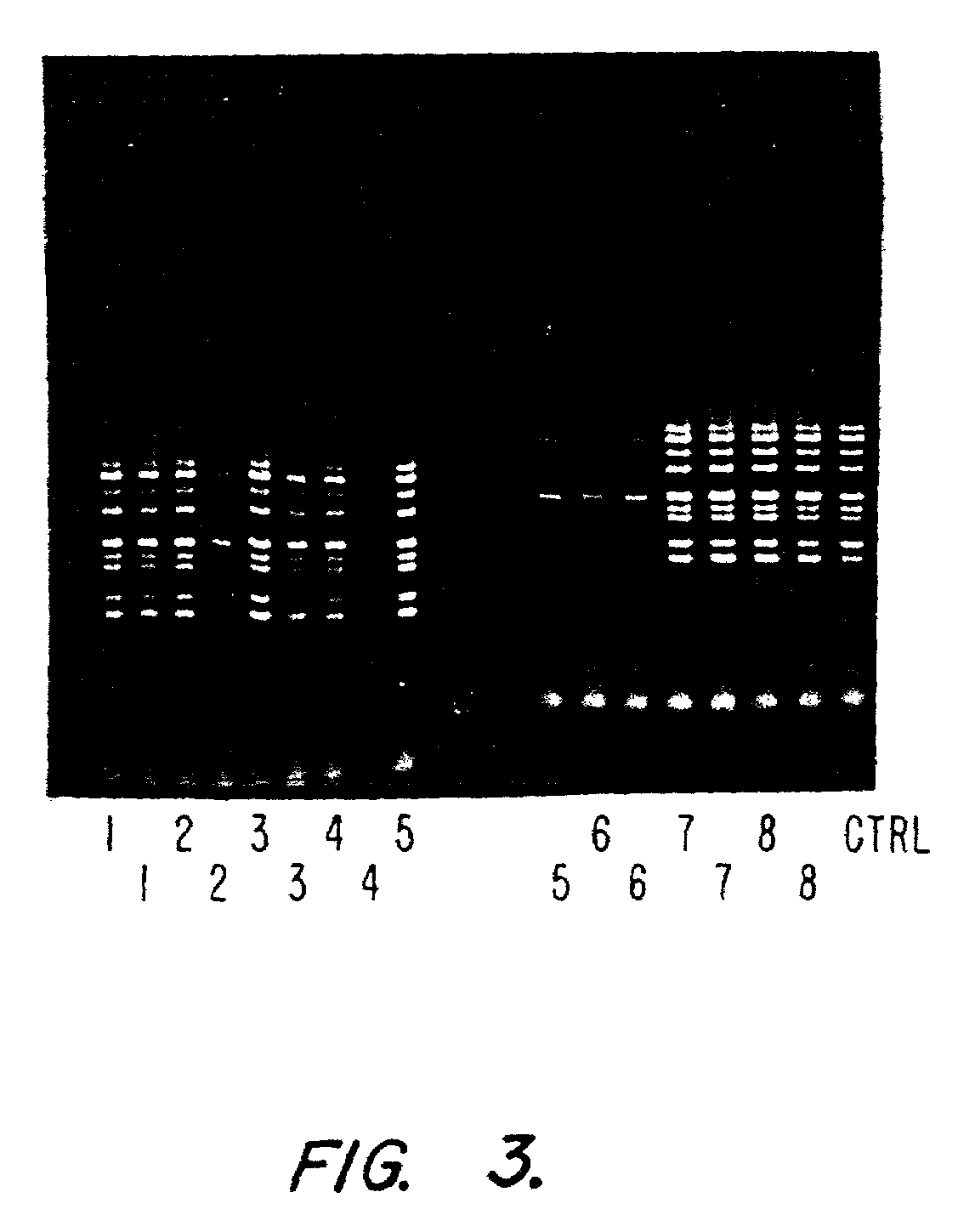 Simultaneous collection of DNA and non-nucleic analytes