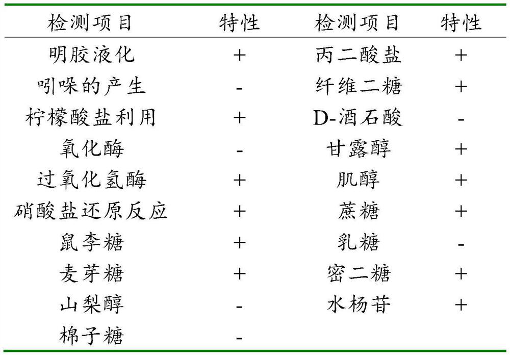 Pantoea agglomerans and application thereof in prevention and treatment of pepper diseases