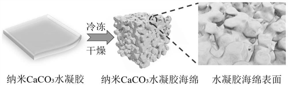 A kind of preparation method and application of in-situ growth nano calcium carbonate hydrogel sponge marine antifouling material