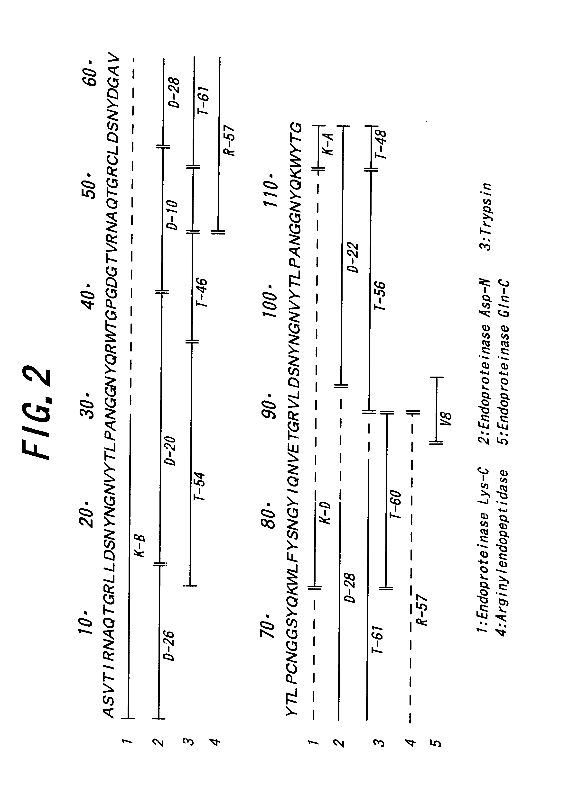 Polypeptide having human HIV inhibitory activity, a gene encoding the polypeptide, a method to produce the polypeptide