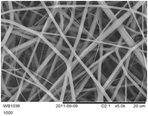 Novel nano-stent available for epithelial implantation and preparation method of novel nano-stent