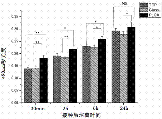 Novel nano-stent available for epithelial implantation and preparation method of novel nano-stent