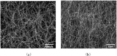 Controllable preparation method for single-walled carbon nanotube without sulfur impurities by growth promoter
