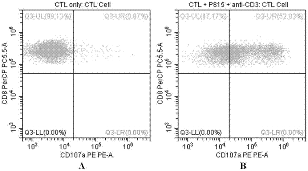 Flow Cytometry Assay for Cytotoxic T Cell Degranulation