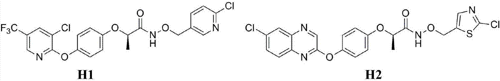 N-[(dihydrobenzofuran-7-yloxyl)alkyl]-2-aryloxy amide derivatives