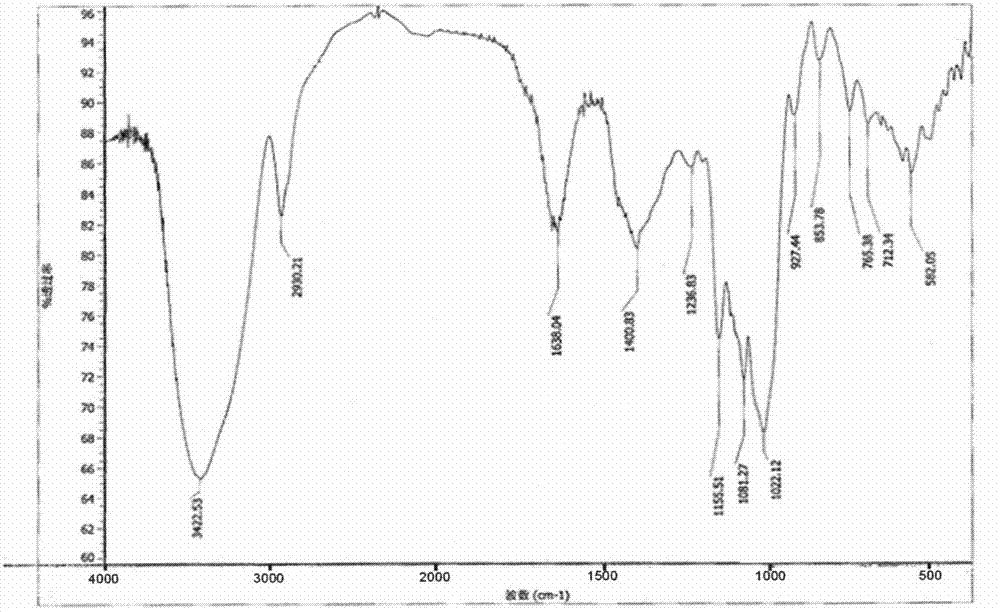 Application of vietnamese sophora root polysaccharide extract in protection and treatment on liver injury caused by acetaminophen