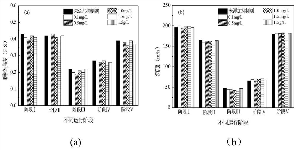 A method for improving the impact resistance of anaerobic ammonia oxidation particles