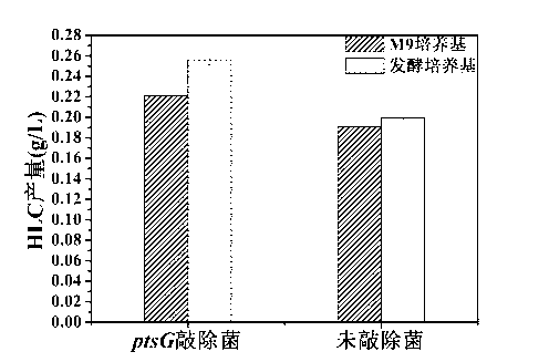 ptsG gene knocked out recombination bacterial efficiently expressing human-like collagen protein, construction method thereof, and protein expression