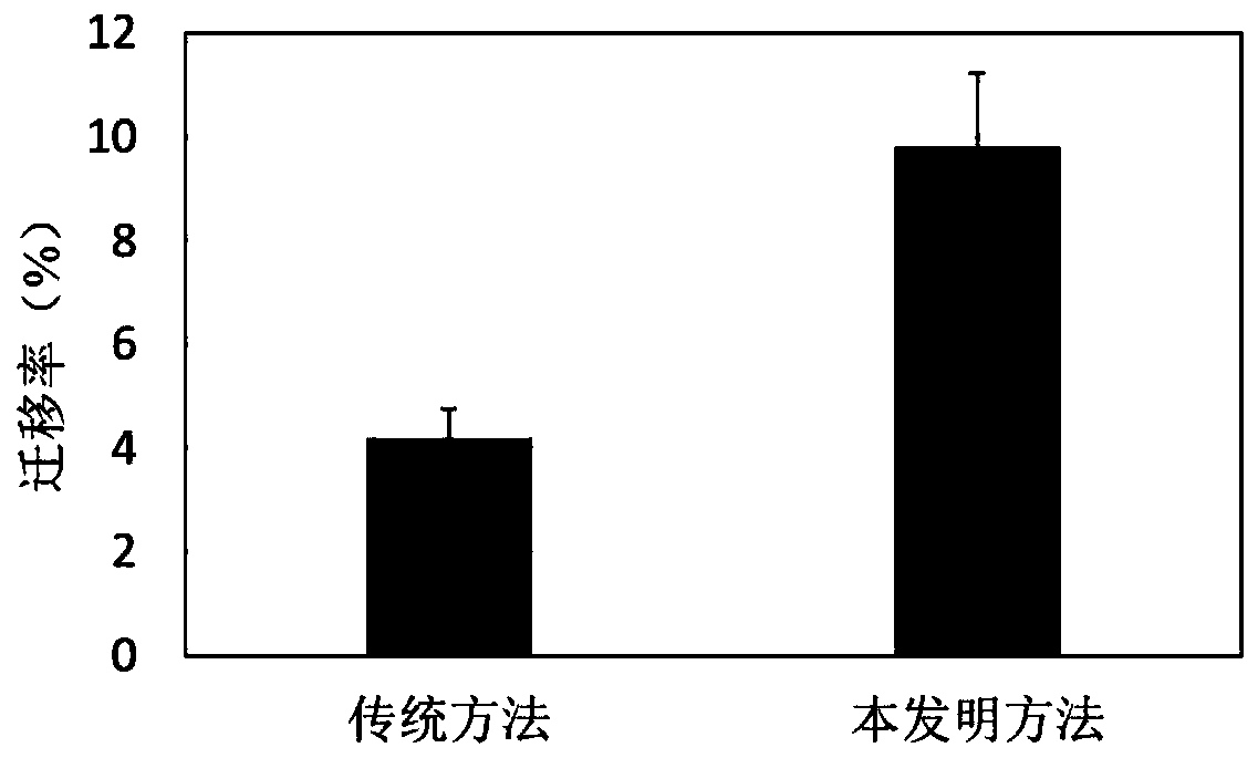 Culture medium containing stem cell activator and culture method of mesenchymal stem cells