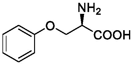 Synthesis method of multi-configuration O-phenyl-serine compound