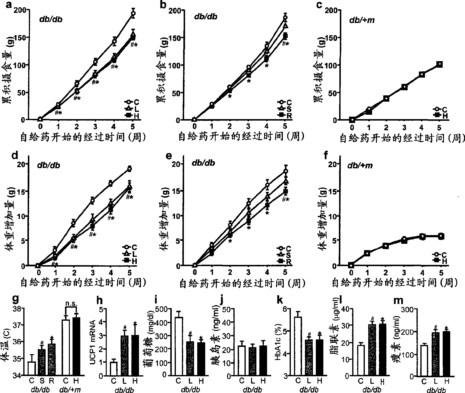 Anti-obesity agent and use thereof