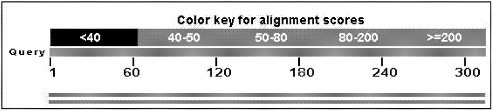 Sheep disease resistance related molecular marker of ISG15 gene and application thereof