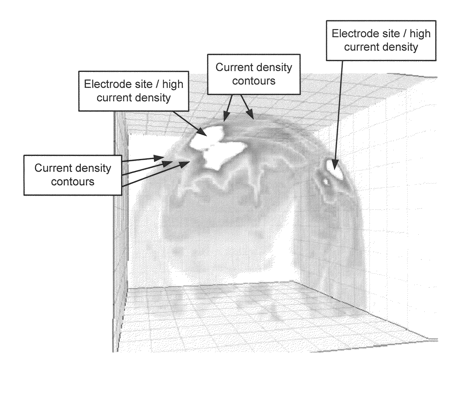 Methods and Systems for Generating Electrical Property Maps of Biological Structures