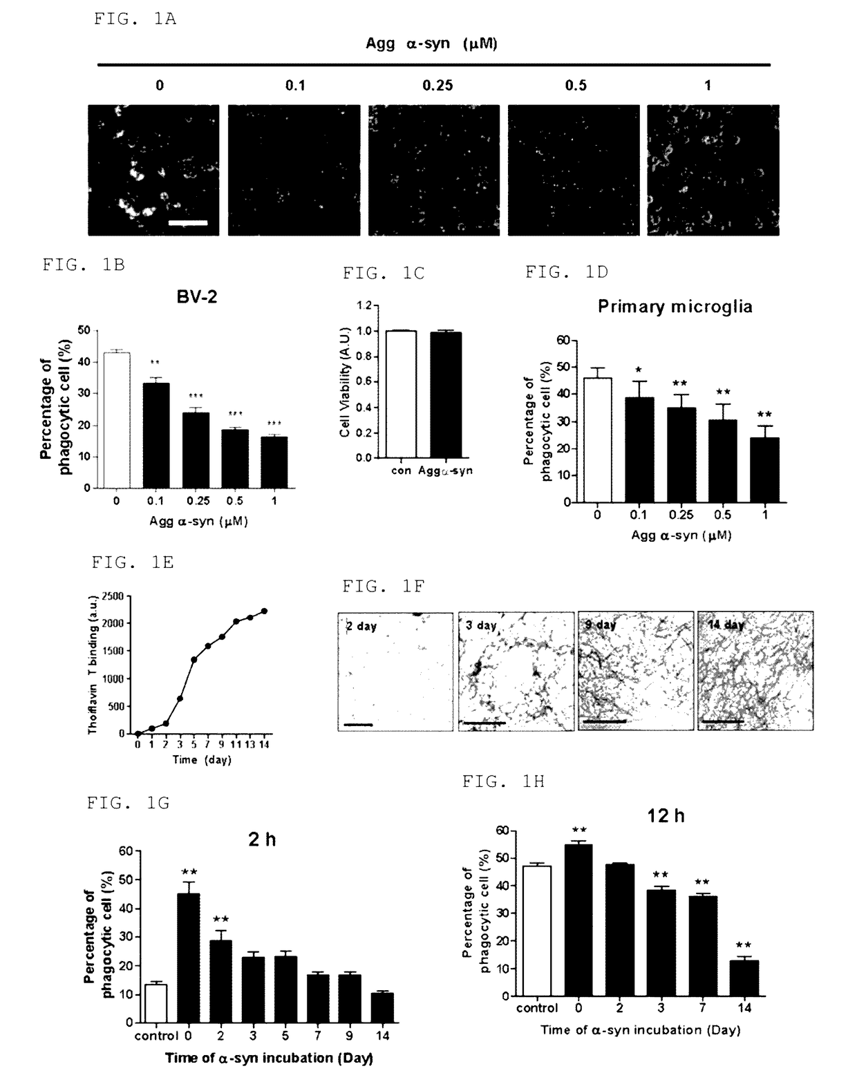 Pharmaceutical composition for preventing or treating neurodegenerative diseases