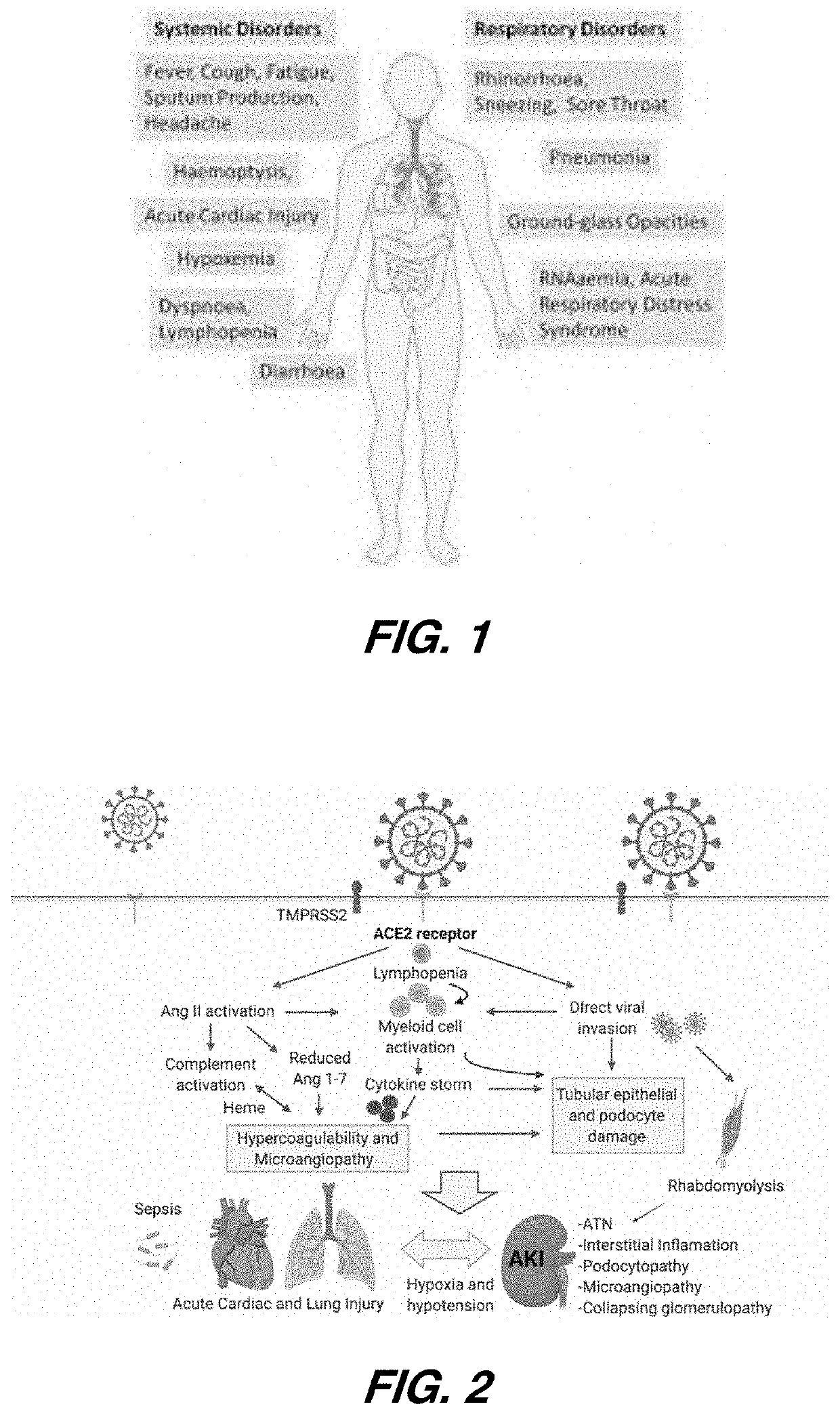 System and method of treating inflammatory lung diseases