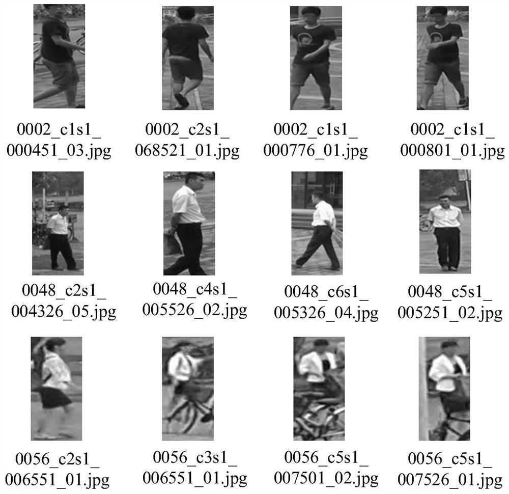 Multi-scale pedestrian re-identification method based on multi-granularity depth feature fusion