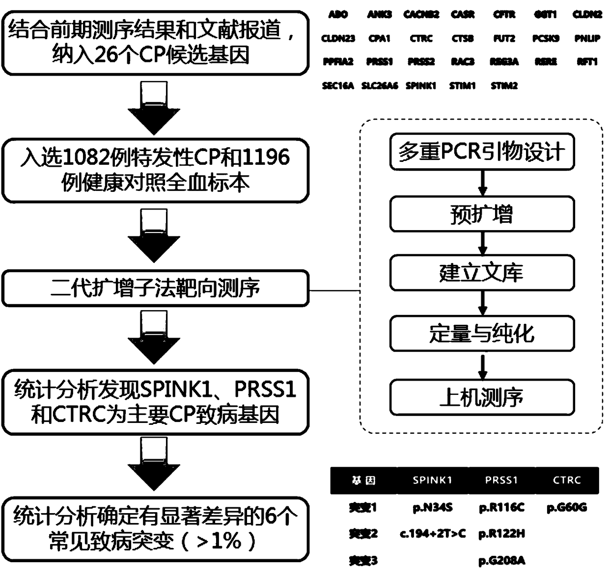 Application of set of gene mutation sites in preparation of reagent or kit for diagnosing chronic pancreatitis (CP) and evaluating prognosis