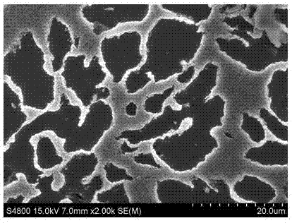 A nanoscale powder mg  <sub>2</sub> The preparation method of ni compound