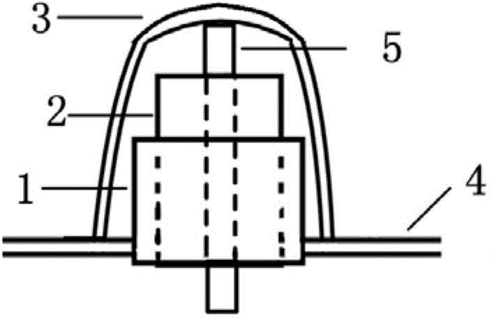 A near-infrared spectroscopy and electrode combined detection device