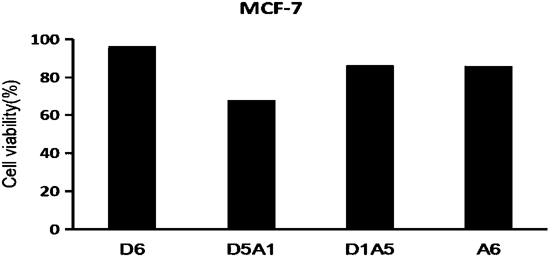 Application of N-acetylated chitohexaose for inhibiting proliferation of tumor cells