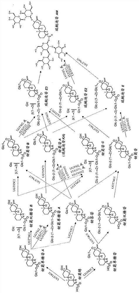 High-purity steviol glycosides