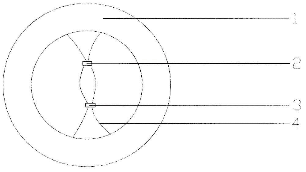 Adjustable swim ring