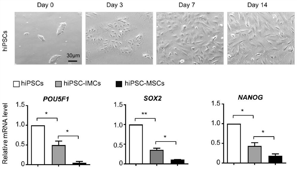 In-vitro efficient preparation method and application of mesenchymal stem cells derived from human inducible pluripotent stem cells