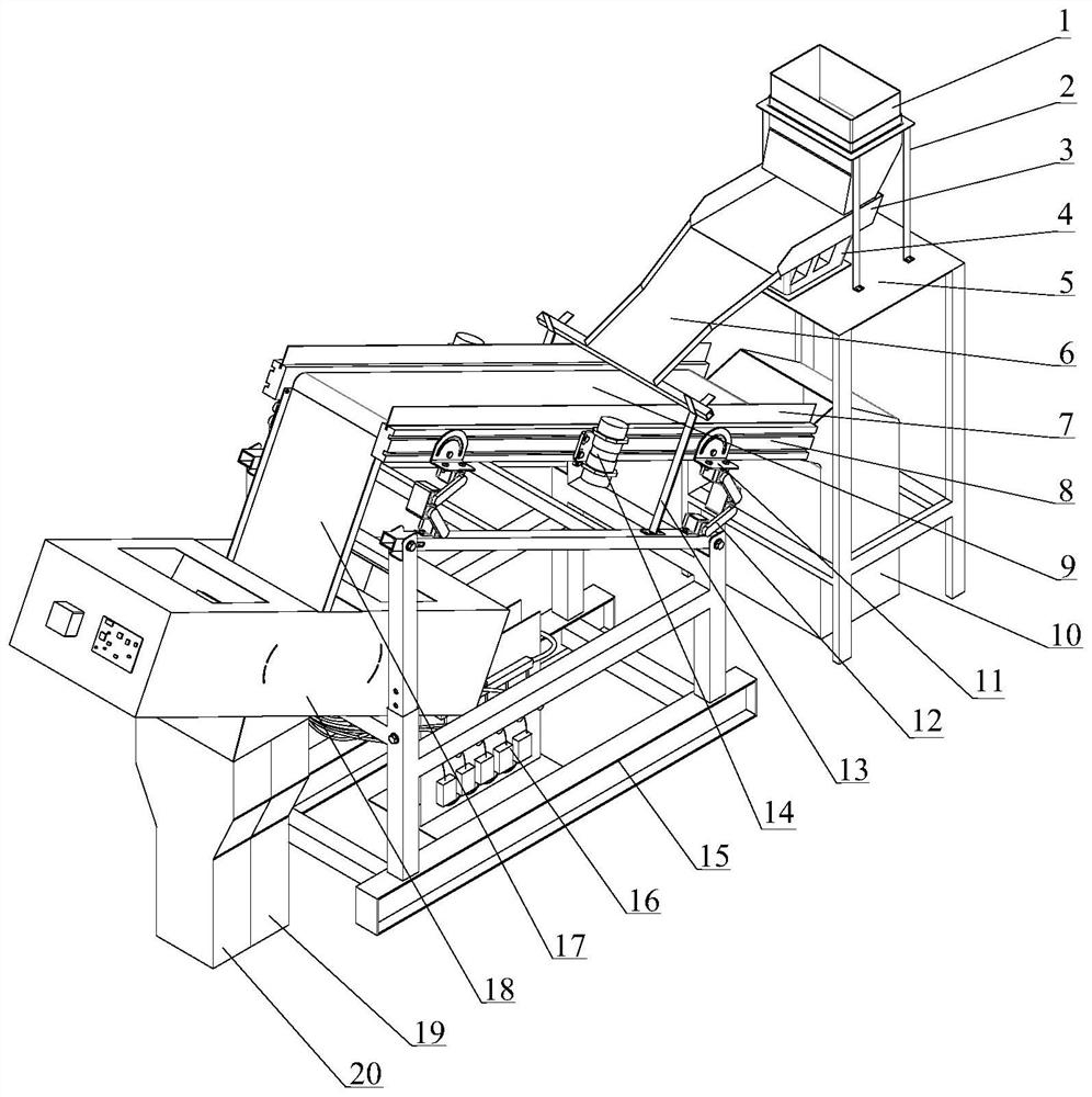 A precision photoelectric sorting machine for Camellia oleifera husk seeds