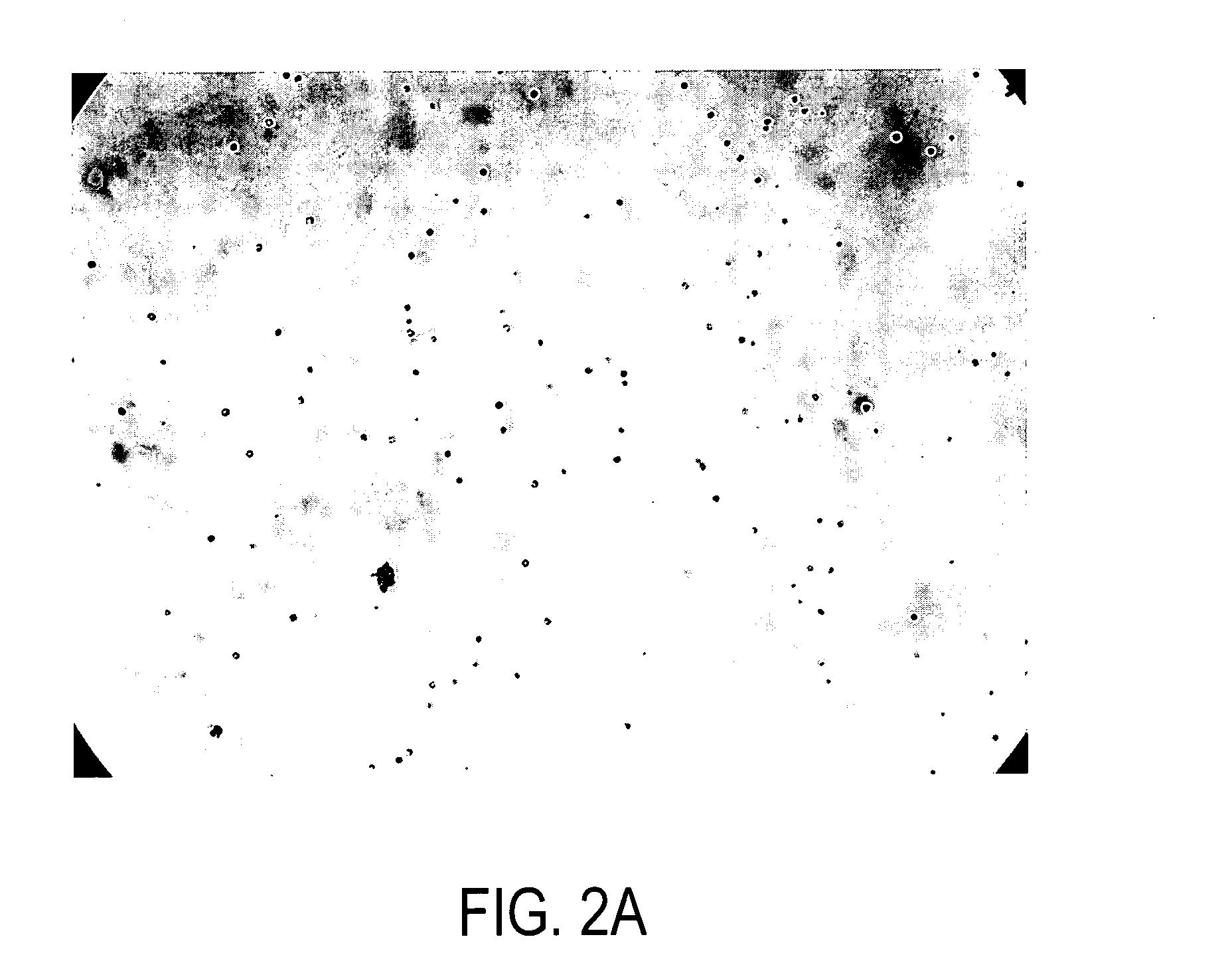 Methods, compositions, and kits for protein crystallization
