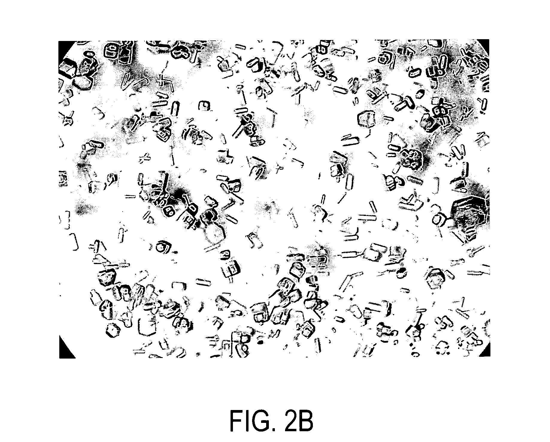 Methods, compositions, and kits for protein crystallization