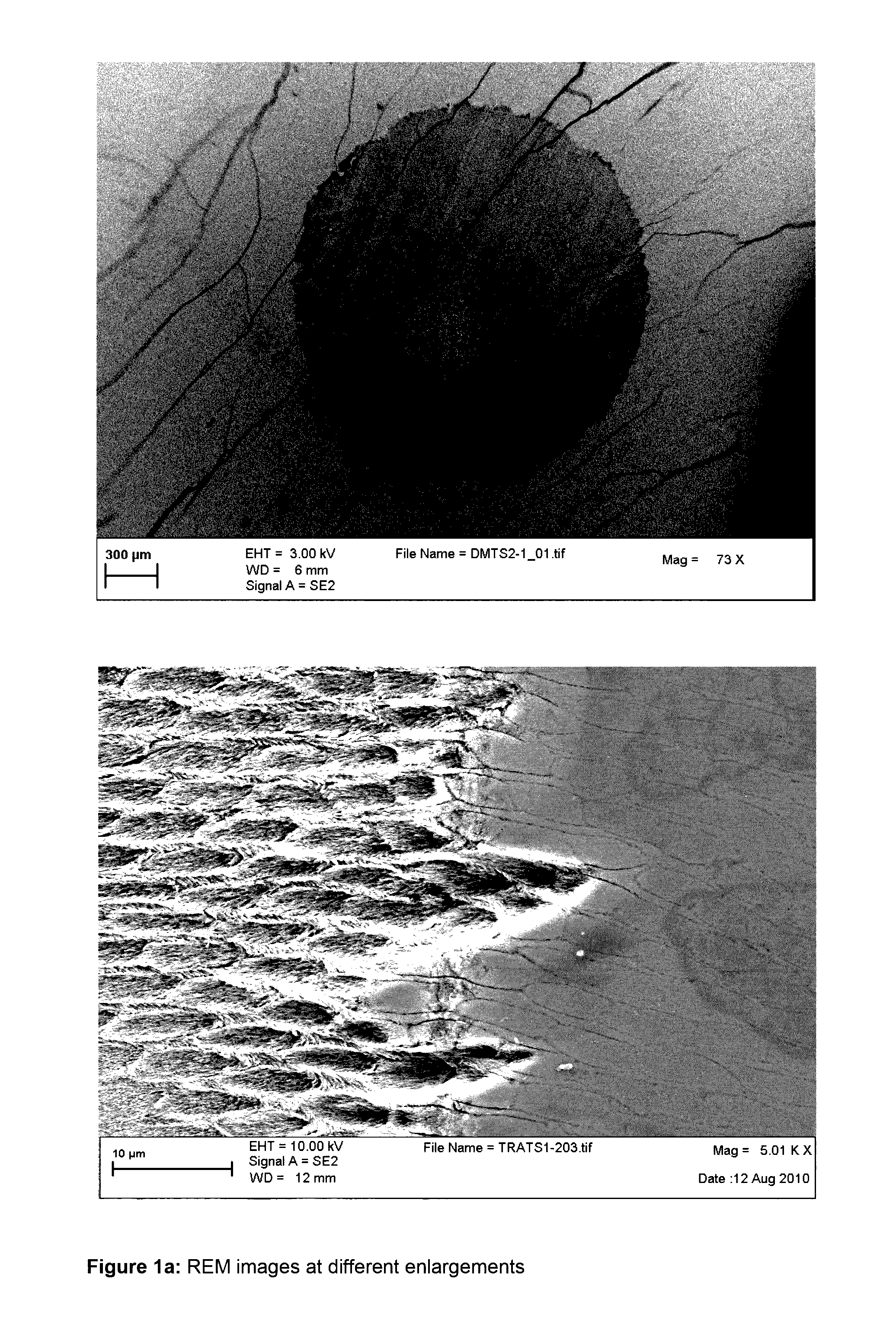 Compounds containing (meth)acrylate groups and sulfonate or sulfate groups, polymers and condensates therefrom and use of the polymers and condensates
