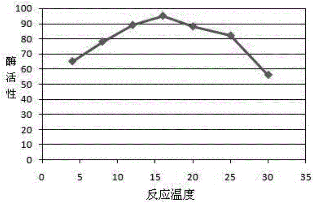 Preparation method of low-temperature protease