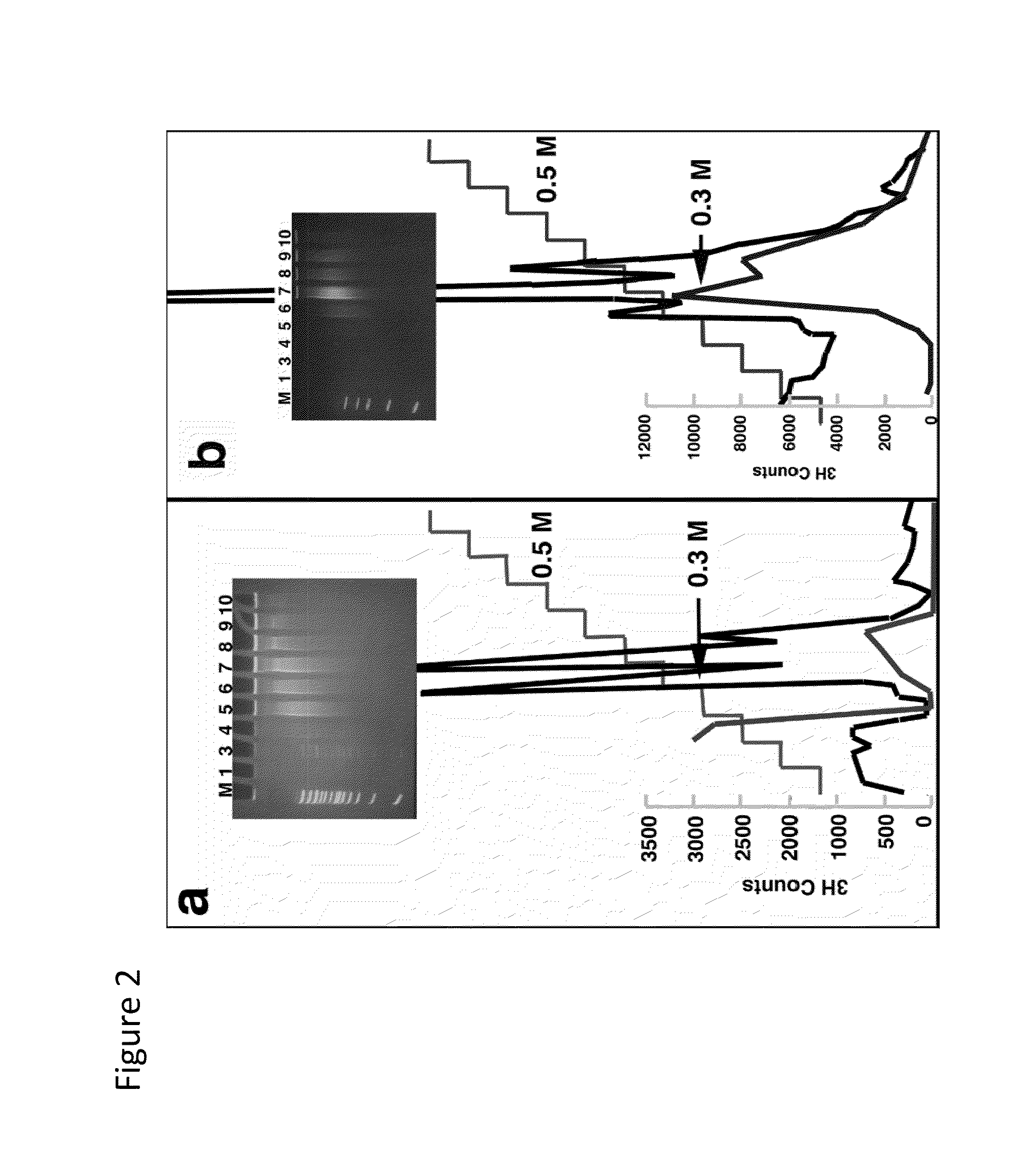 Method for enriching methylated CpG sequences