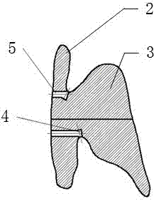 Fluoride coating device for preventing dental caries in children and manufacturing method thereof