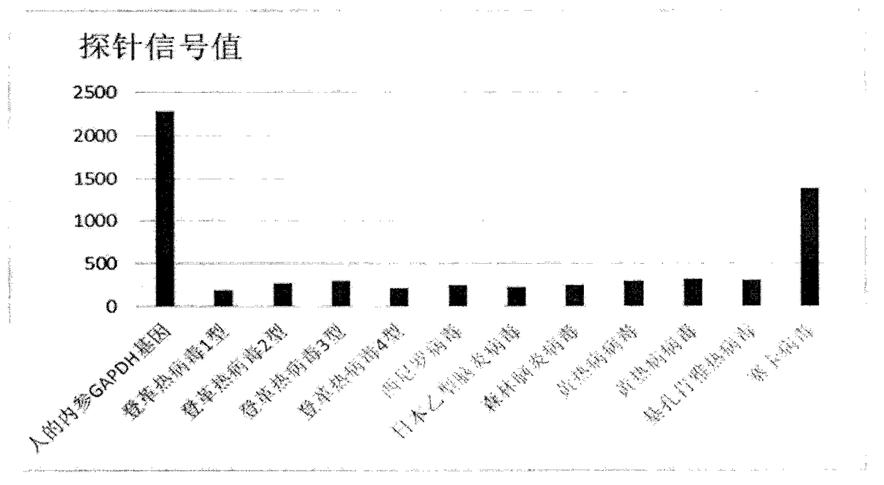 Probe, primer, detection kit and detection method for detecting arboviruses based on suspension microsphere array system