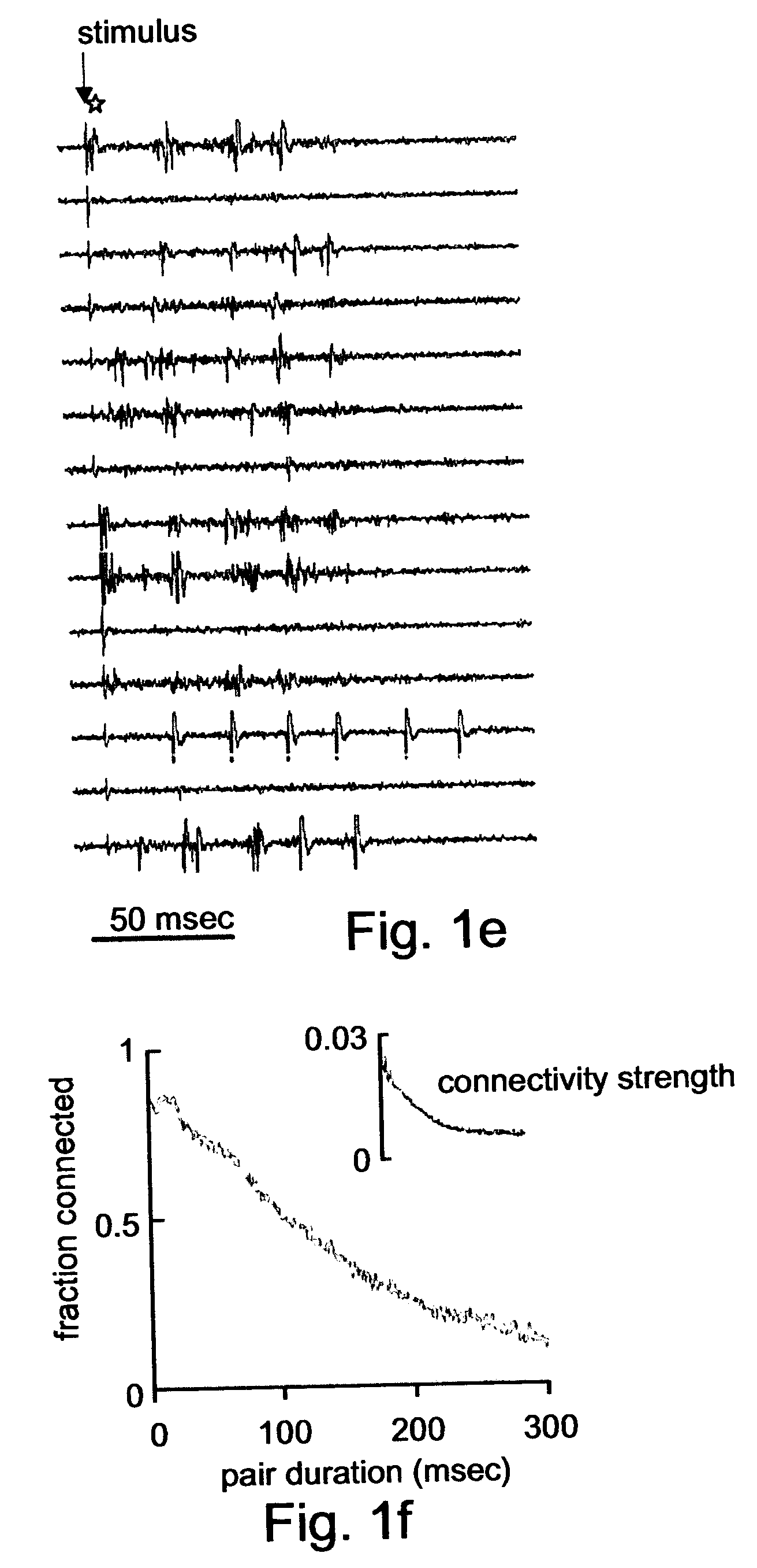 Nucleic acid constructs and cells, and methods utilizing same for modifying the electrophysiological function of excitable tissues