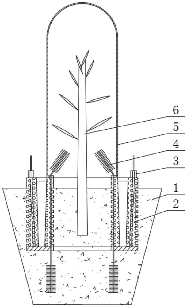 Taxus chinensis cutting seedling raising facility