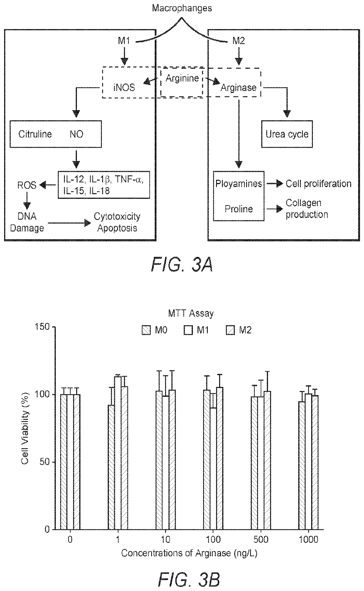 Compositions and methods for neuroprotection utilizing nanoparticulate silver