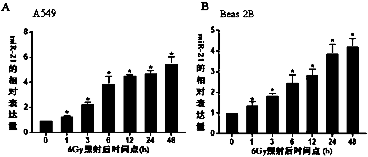 Application of miR-21 in regulation of ionizing radiation induced epithelial-mesenchymal transition