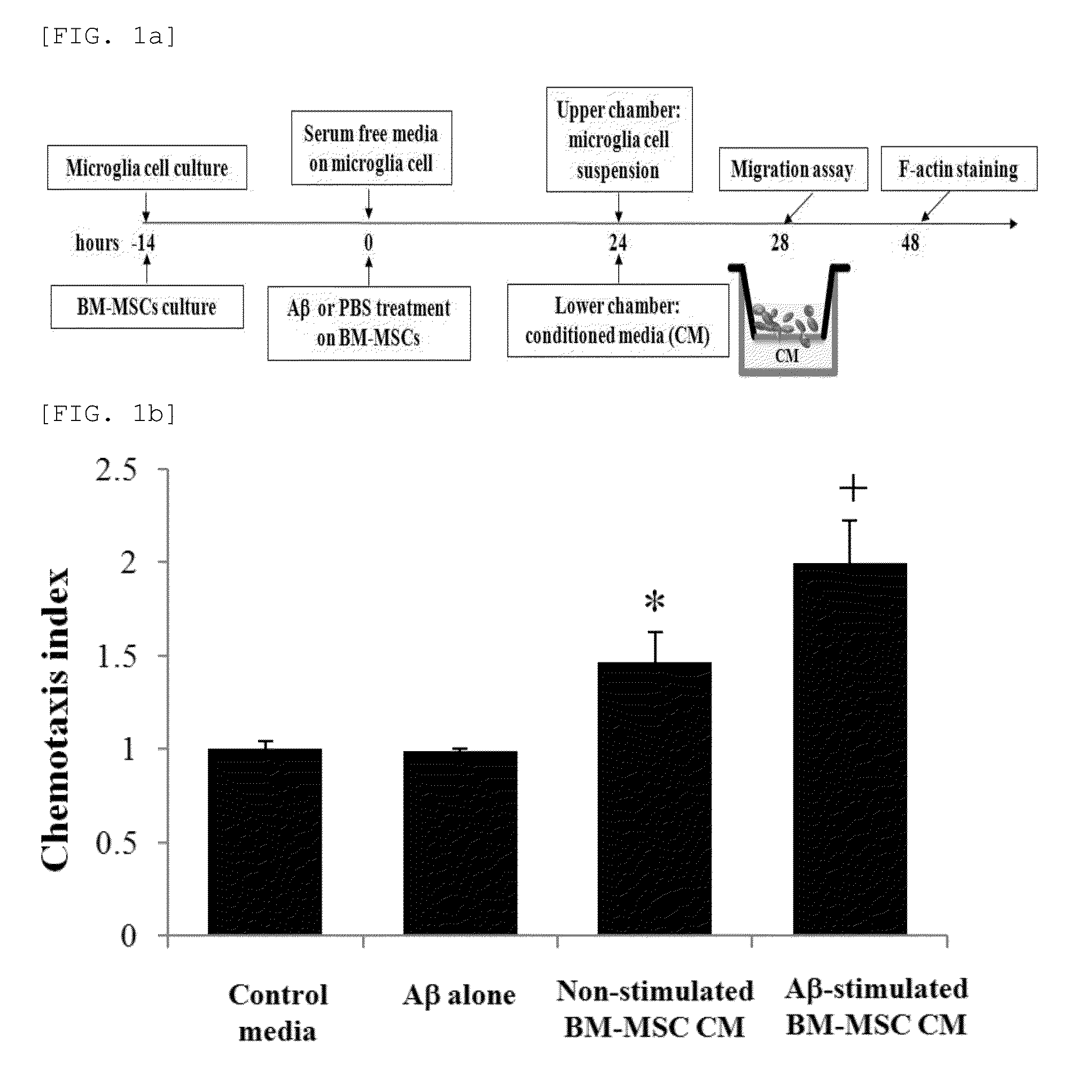 Composition for preventing or treating neurodegenerative diseases containing ccl5